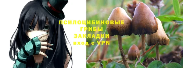 apvp Козловка