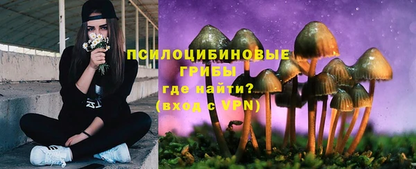 марки nbome Козельск